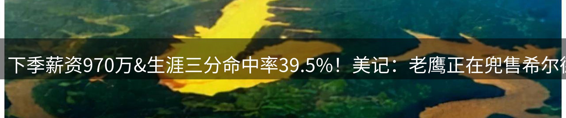 综合资讯