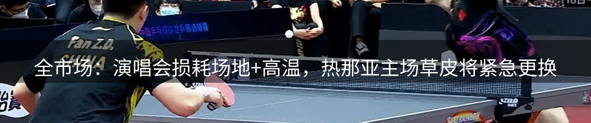 网站动态