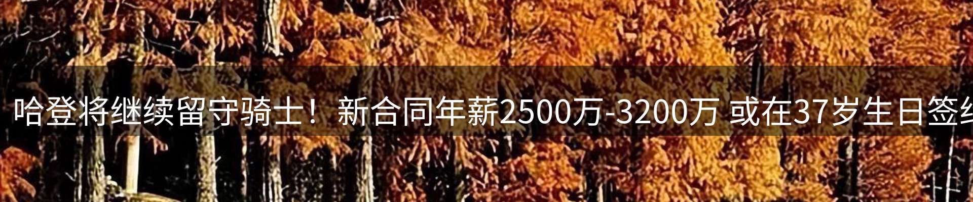 网站动态