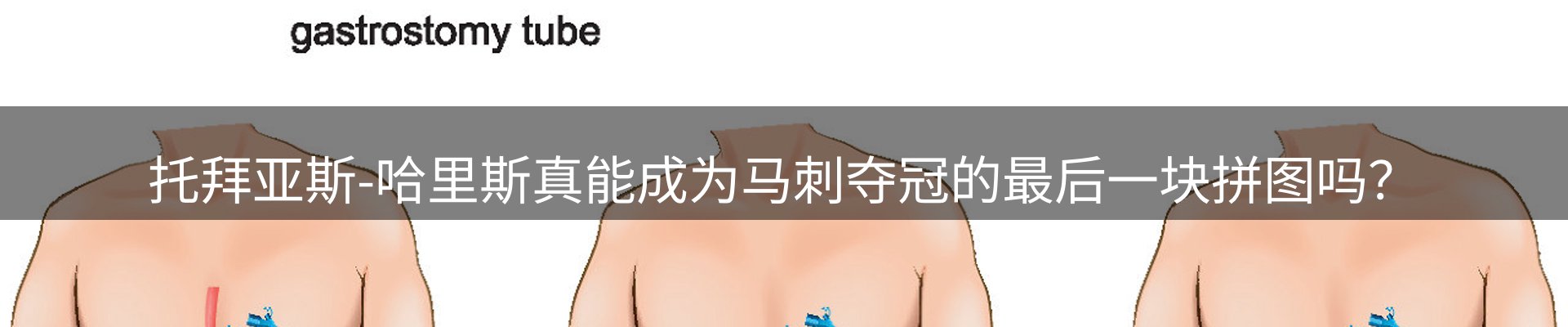 网站动态