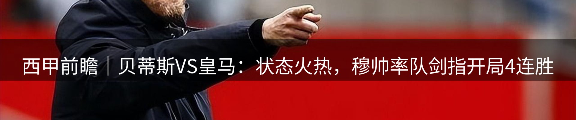网站动态