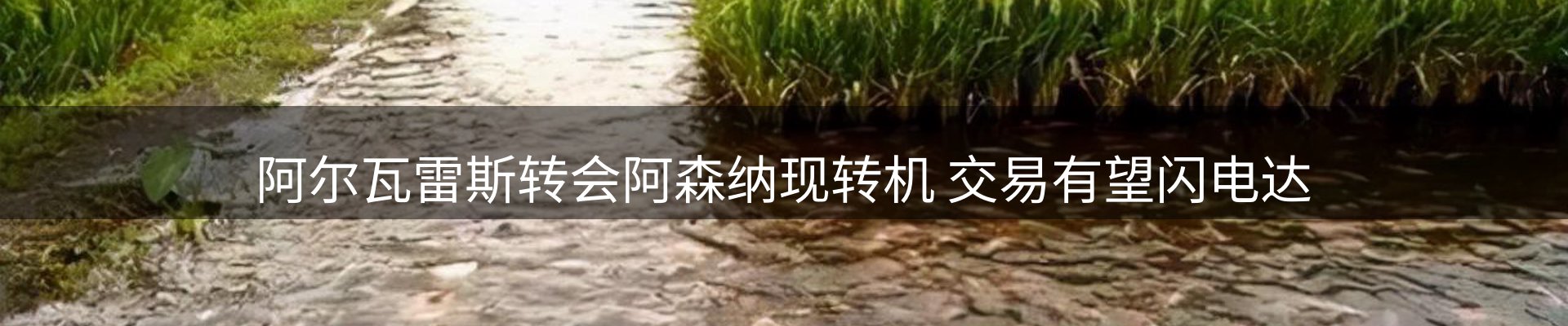 网站动态